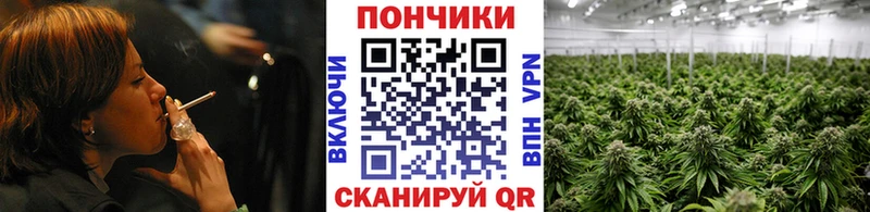 Купить закладку Конопля  Codein  ГАШИШ  Меф мяу мяу  СОЛЬ  Героин  Озёры