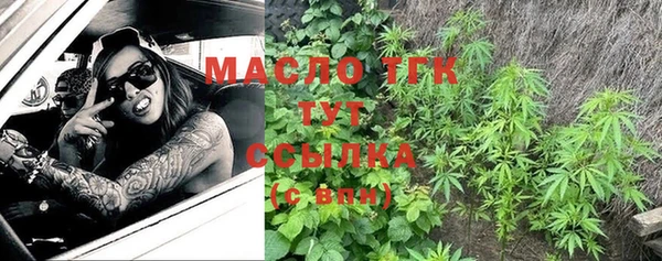 стаф Зерноград