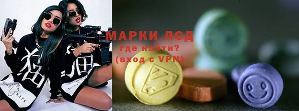 стаф Зерноград