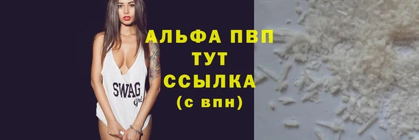 стаф Зерноград