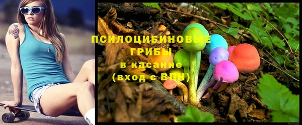 стаф Зерноград