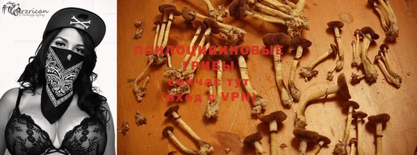 стаф Зерноград